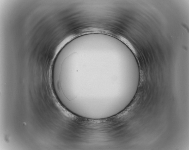 X0000091531098200708170945