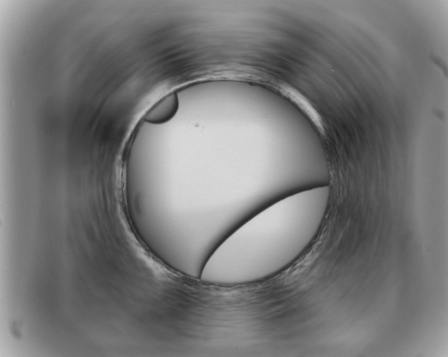 X0000091531099200708170945