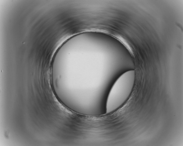 X0000091531100200708170945