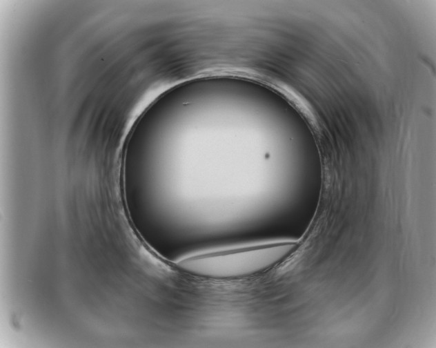 X0000091531102200708170945