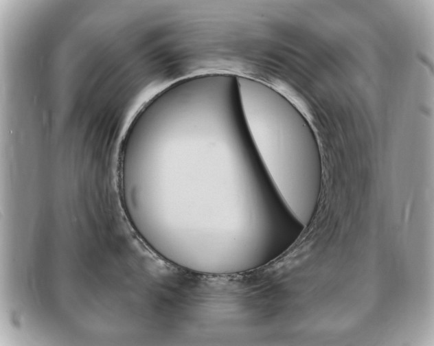X0000091531104200708170945