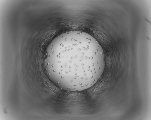 X0000091531105200708170944