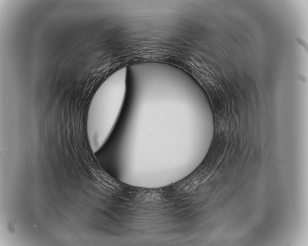 X0000091531106200708170944