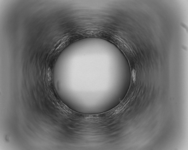 X0000091531107200708170944