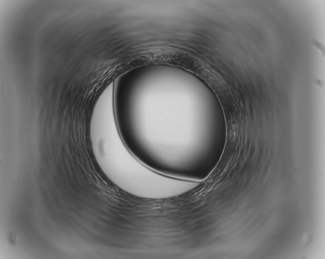 X0000091531108200708170944
