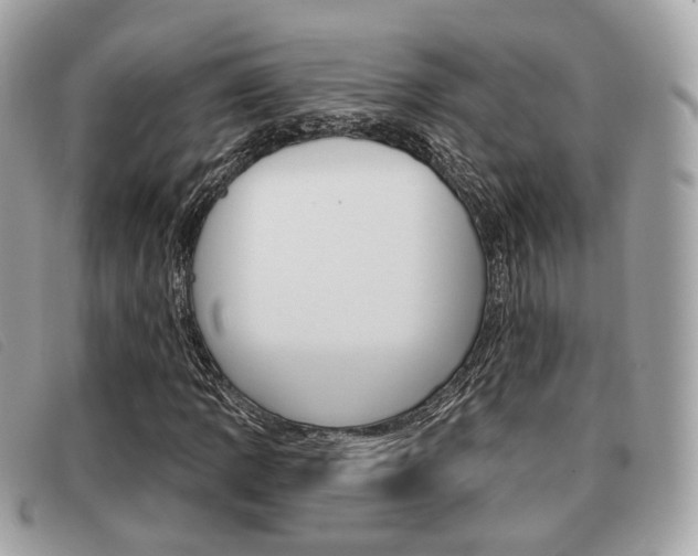 X0000091531109200708170944