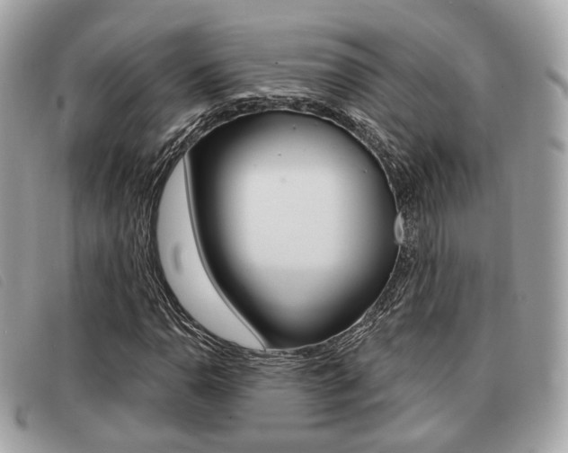 X0000091531110200708170944