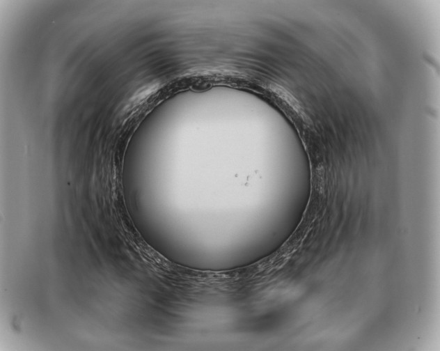 X0000091531111200708170944