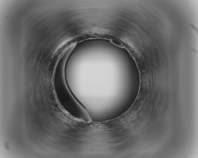 X0000091531112200708170944