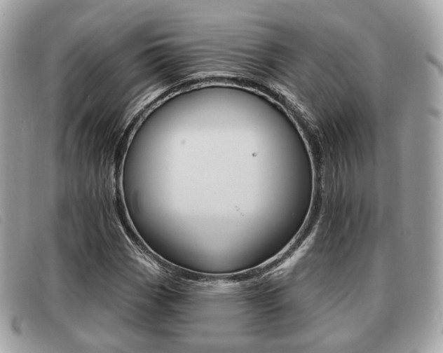 X0000091531113200708170944