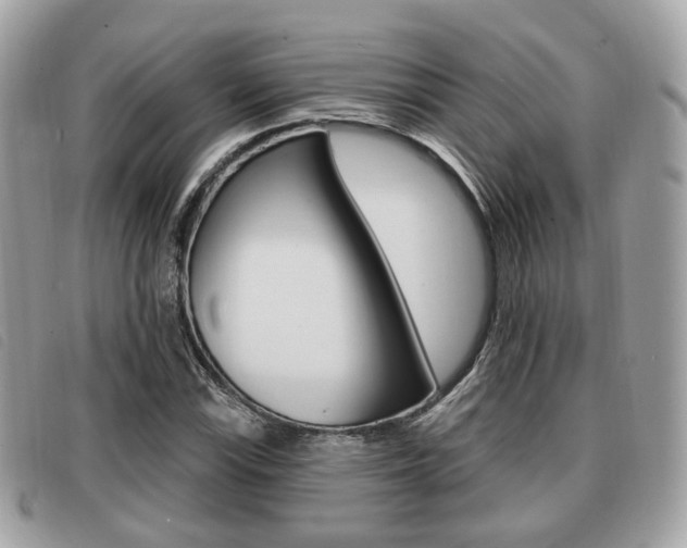 X0000091531115200708170944