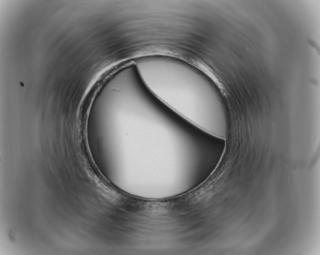 X0000091531116200708170944