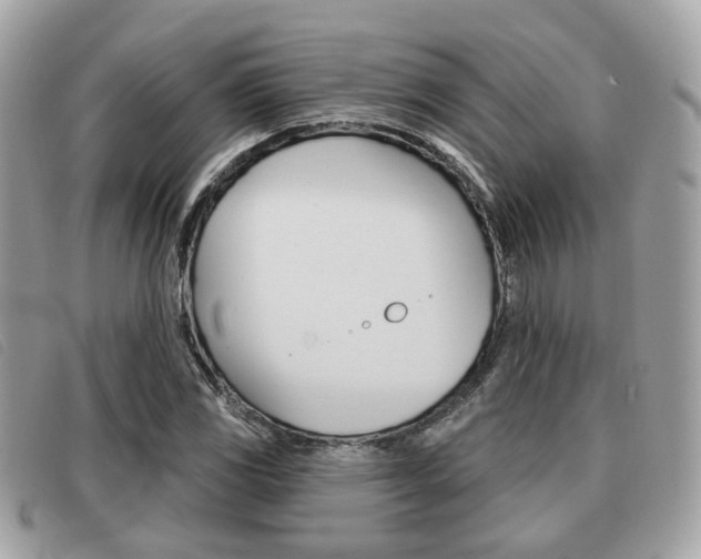 X0000091531117200708170944