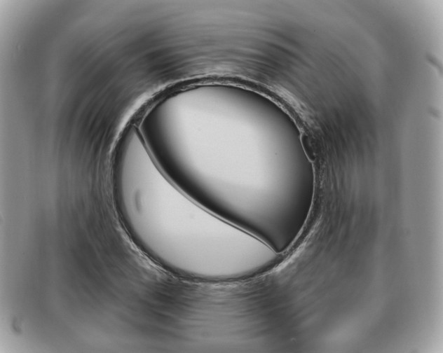 X0000091531118200708170944
