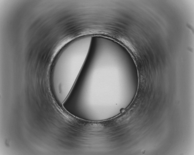 X0000091531119200708170944