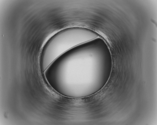 X0000091531120200708170944