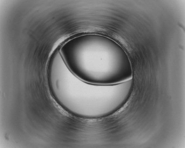 X0000091531122200708170944