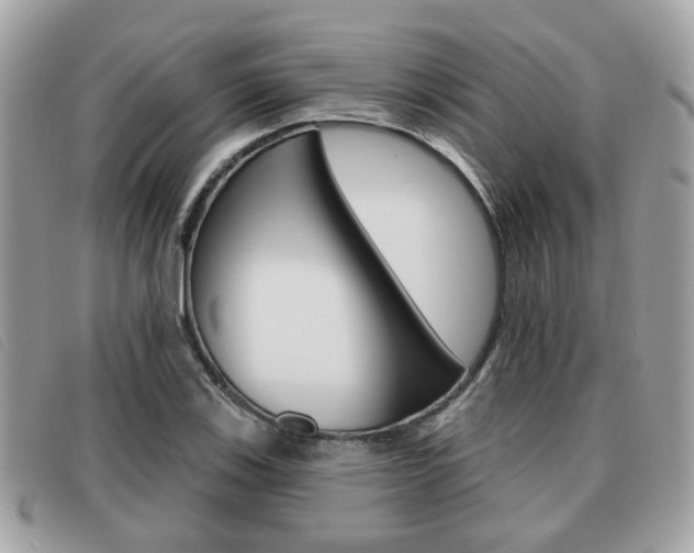 X0000091531123200708170944
