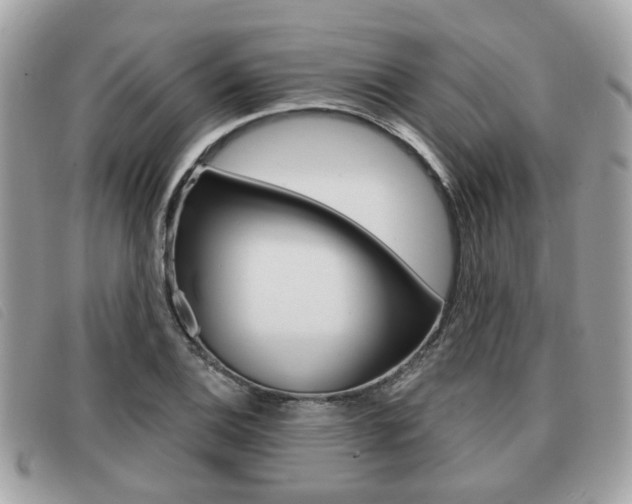 X0000091531124200708170944