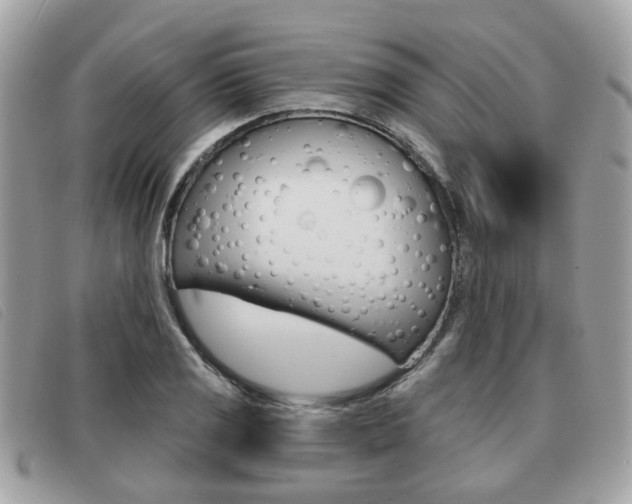 X0000091531125200708170944