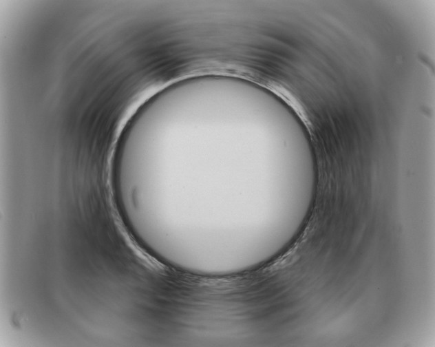 X0000091531128200708170944