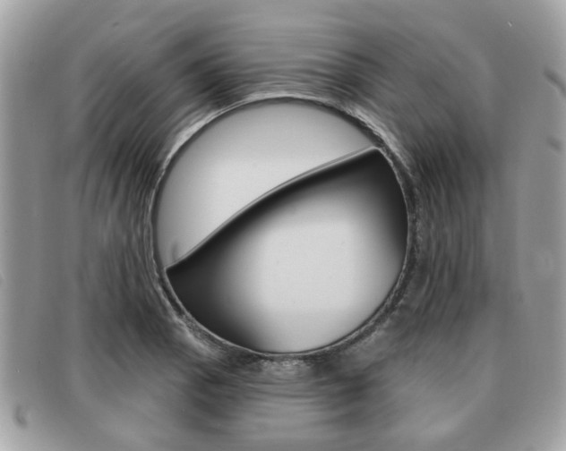 X0000091531129200708170944