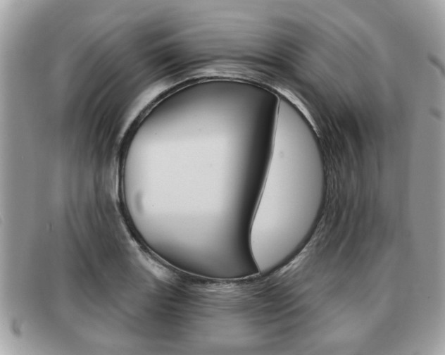 X0000091531131200708170944