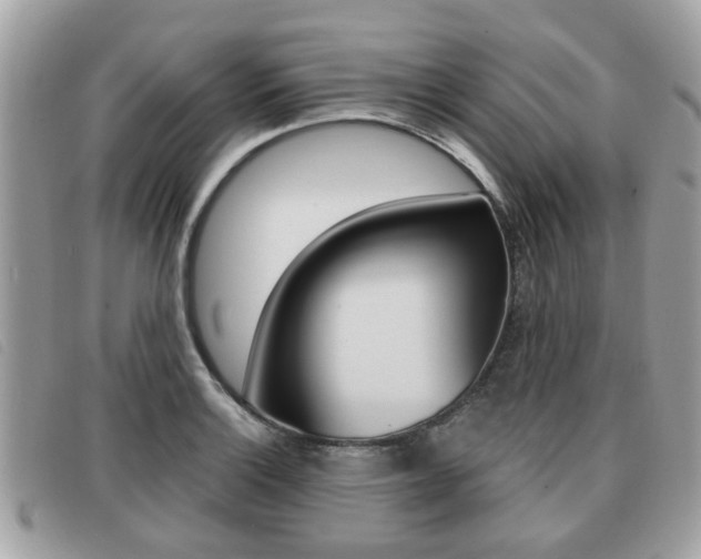 X0000091531132200708170944