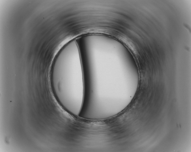 X0000091531133200708170944