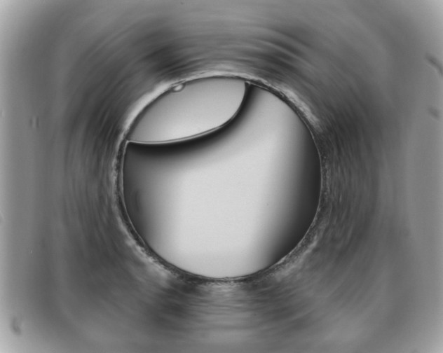 X0000091531134200708170944