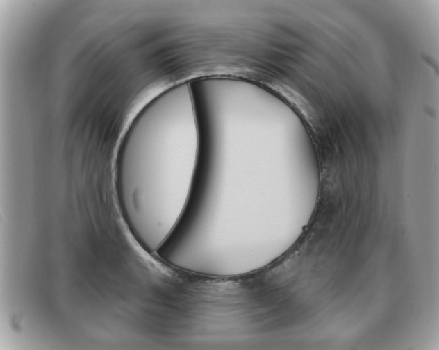 X0000091531135200708170944