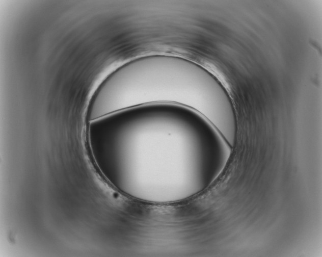 X0000091531136200708170944