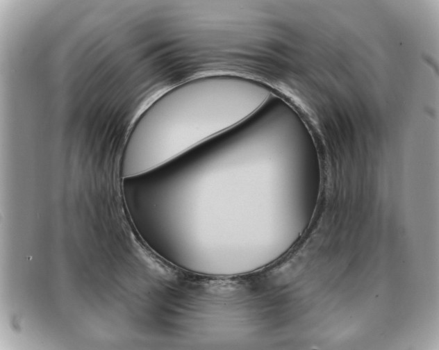 X0000091531137200708170944