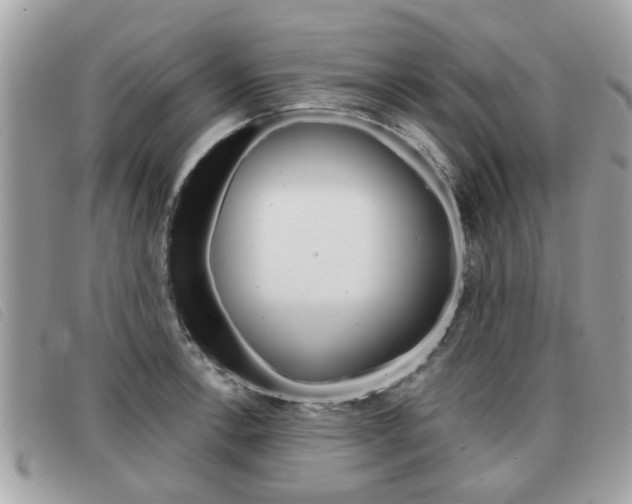 X0000091531138200708170944