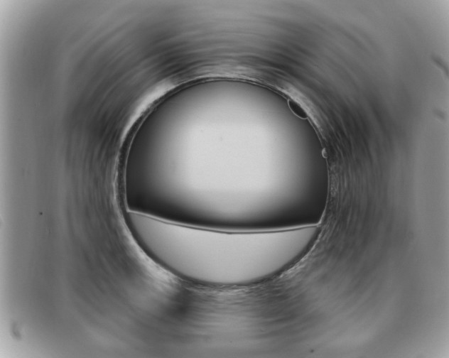 X0000091531139200708170944