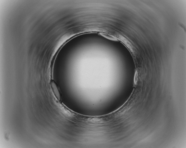 X0000091531140200708170944