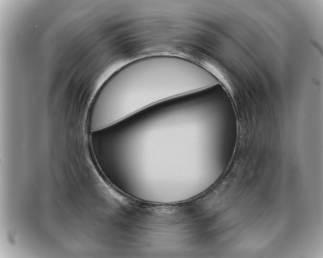 X0000091531141200708170944