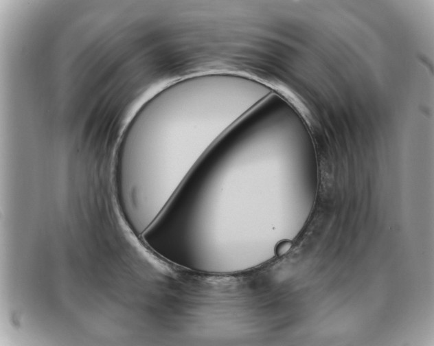 X0000091531142200708170944