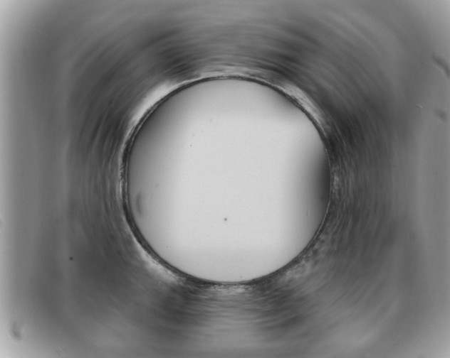 X0000091531143200708170944
