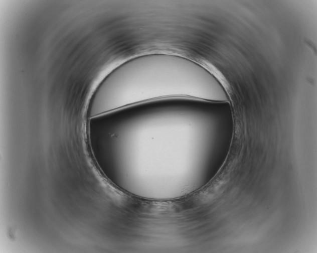 X0000091531144200708170944
