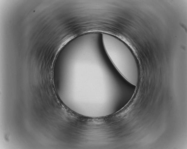 X0000091531145200708170944