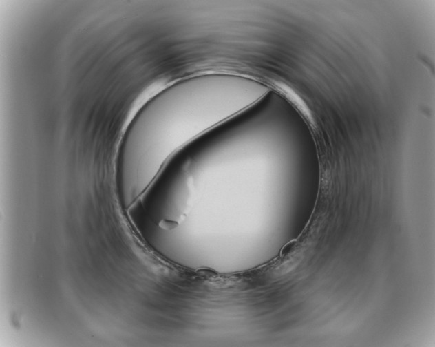 X0000091531146200708170944