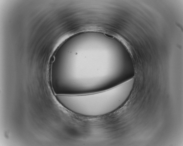X0000091531147200708170944