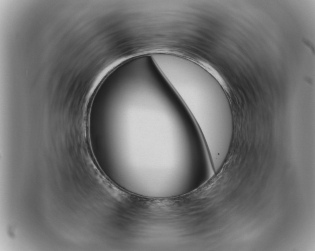 X0000091531148200708170945