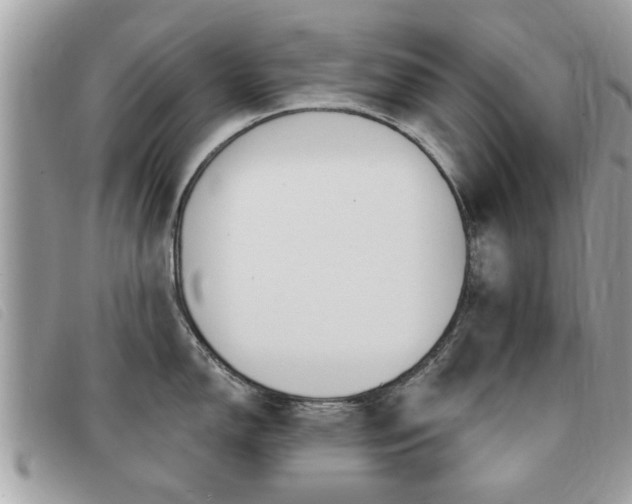 X0000091531150200708170945