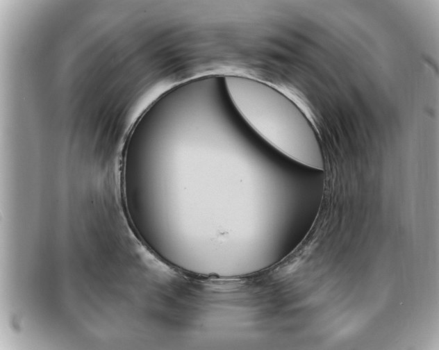 X0000091531151200708170945