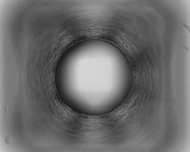 X0000091531153200708170944