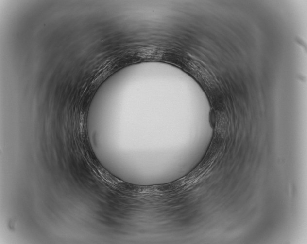 X0000091531154200708170944