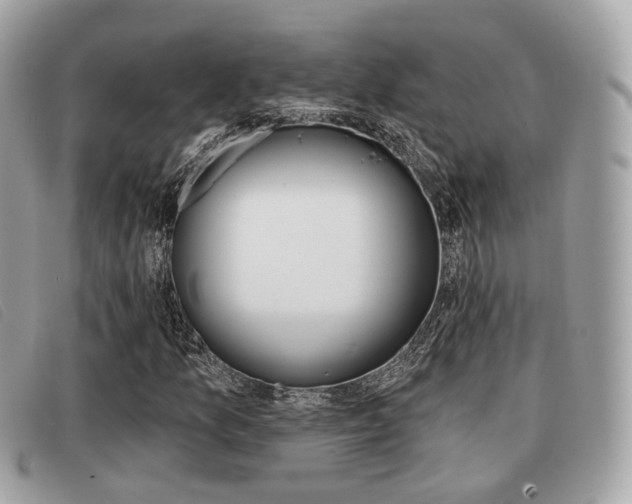 X0000091531157200708170944