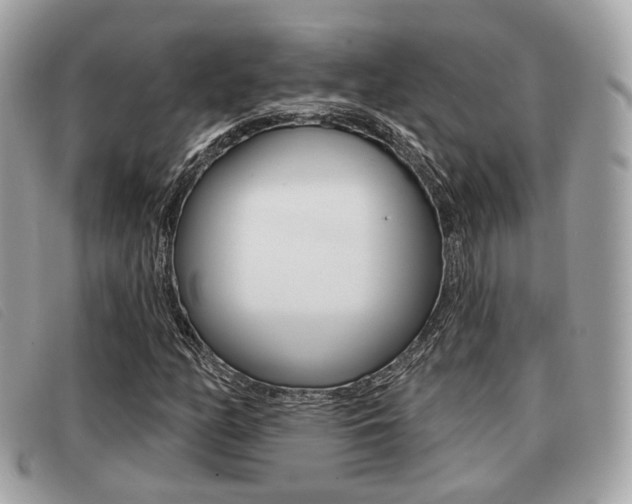X0000091531158200708170944